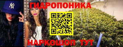 прущий лед Заводоуковск