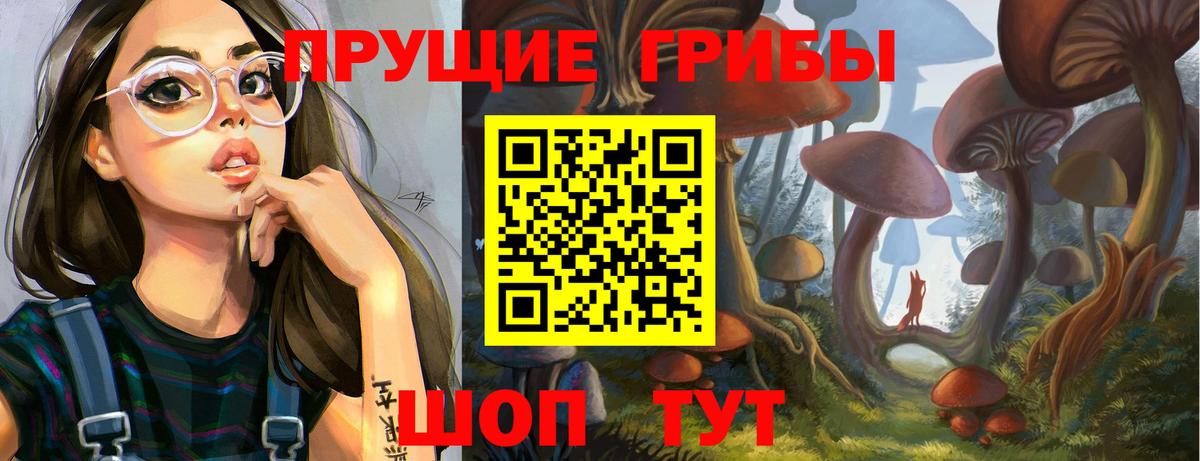 Псилоцибиновые грибы Cubensis  Вход с VPN  Саяногорск 